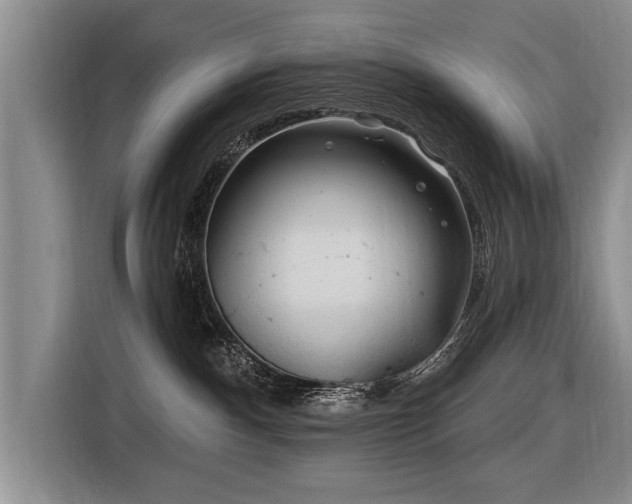 X0000116890140200912221501