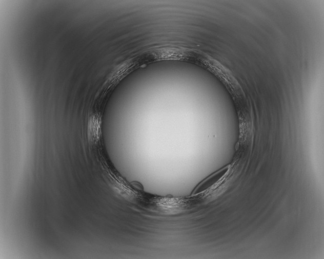 X0000116890142200912221501