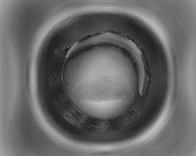 X0000116890143200912221501