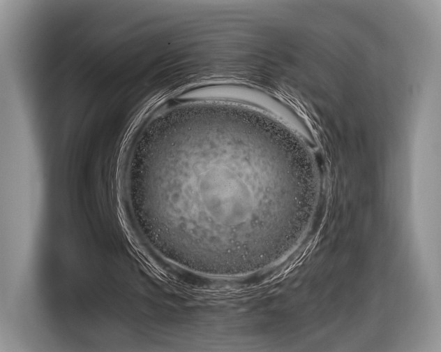 X0000116890145200912221500