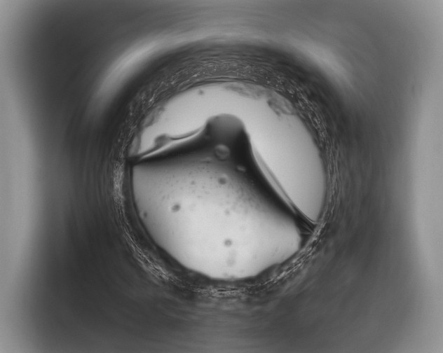 X0000116890146200912221500