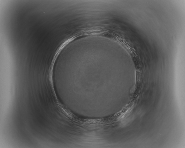 X0000116890147200912221500