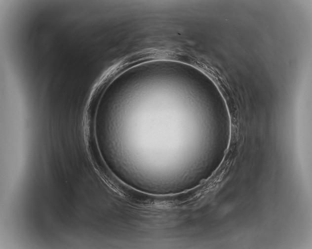 X0000116890149200912221500