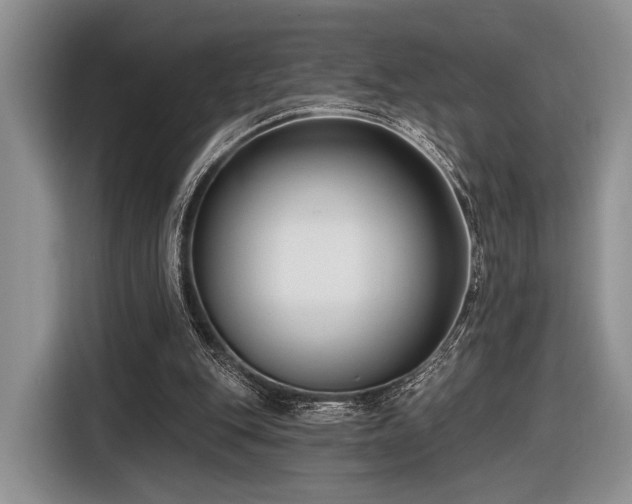 X0000116890151200912221500