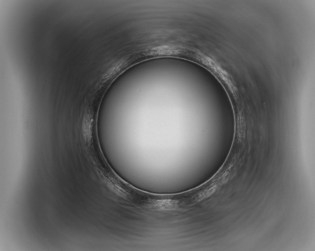 X0000116890153200912221500