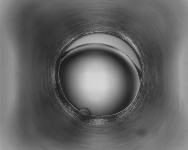 X0000116890154200912221500