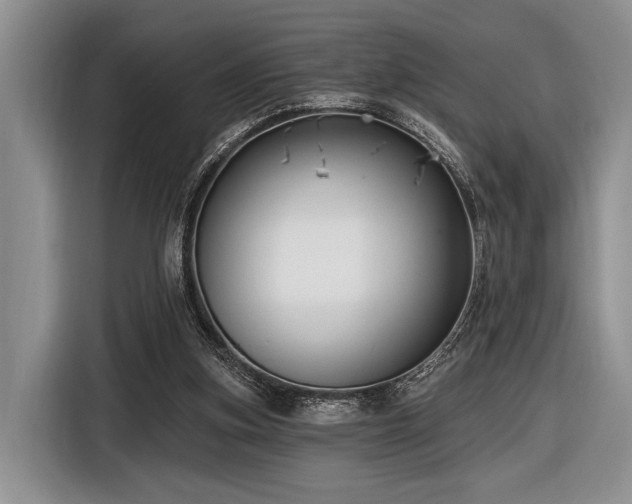 X0000116890155200912221500