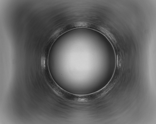 X0000116890157200912221500