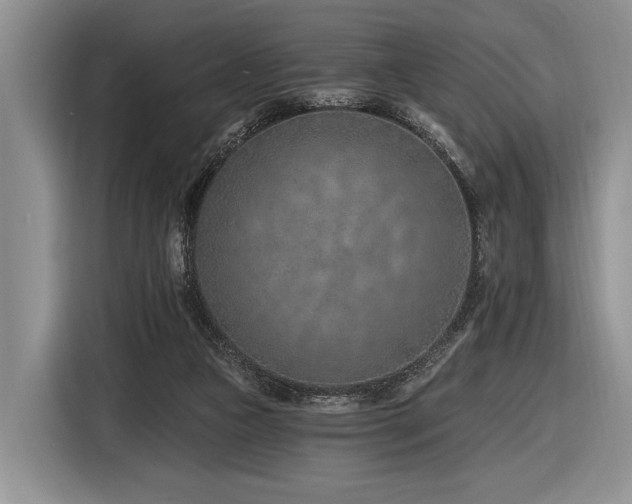 X0000116890161200912221500