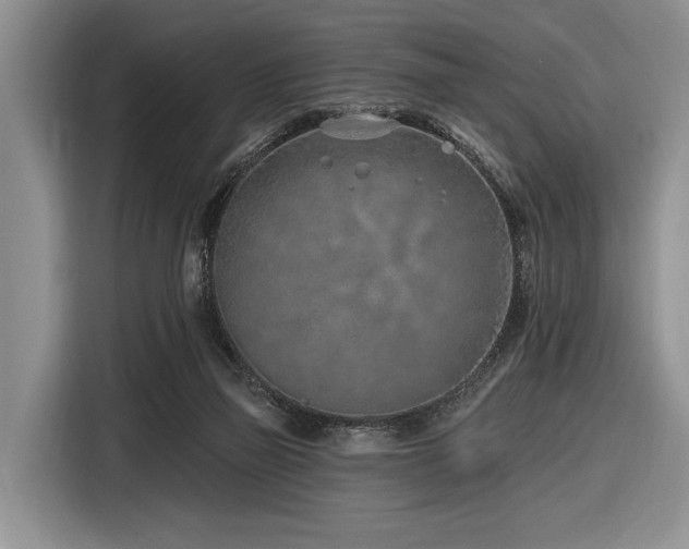 X0000116890165200912221500