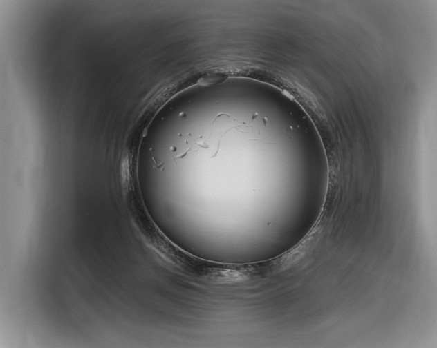 X0000116890166200912221500