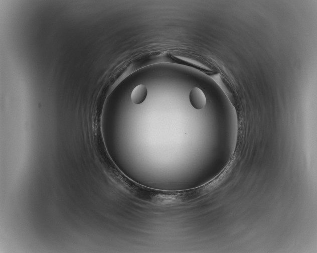 X0000116890170200912221500