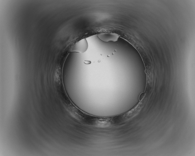 X0000116890175200912221500