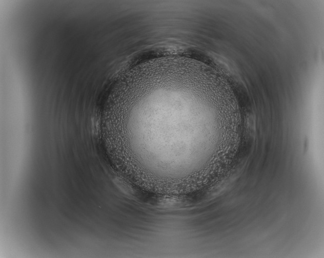 X0000116890177200912221500