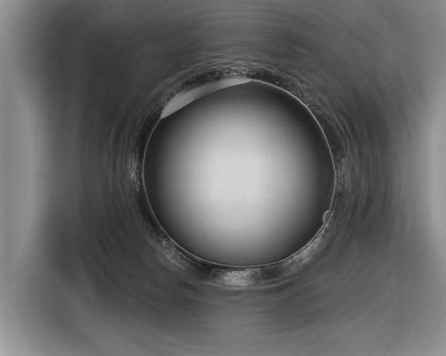 X0000116890178200912221500