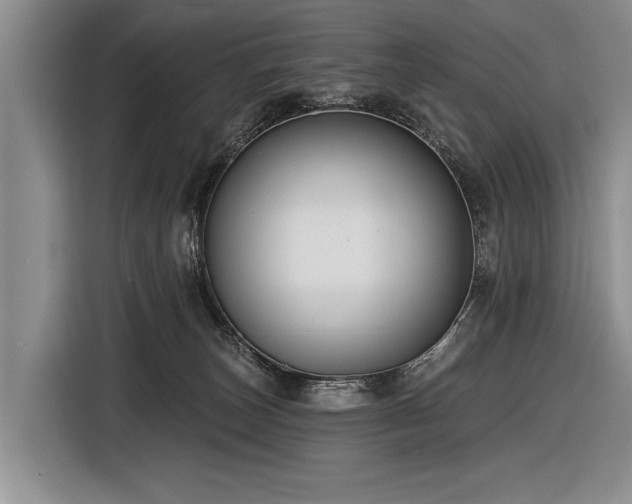 X0000116890179200912221500