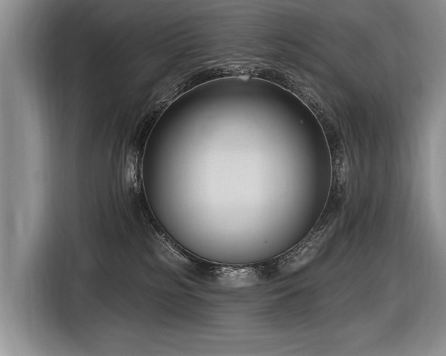 X0000116890185200912221501