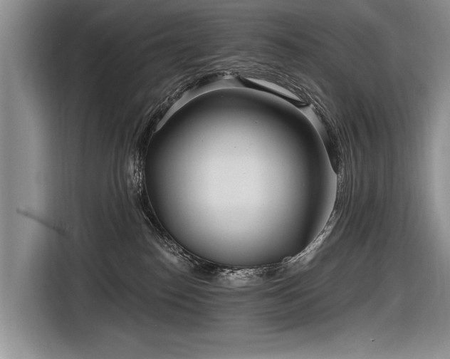 X0000116890186200912221501