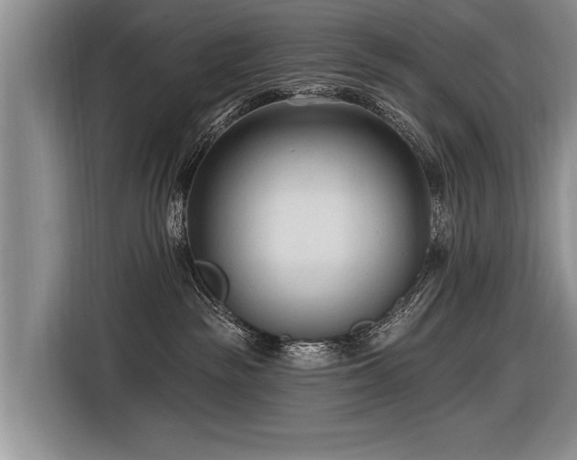 X0000116890189200912221501