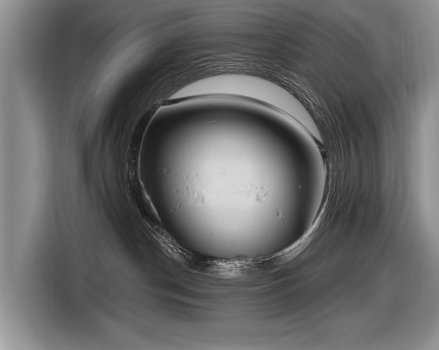 X0000116890190200912221501