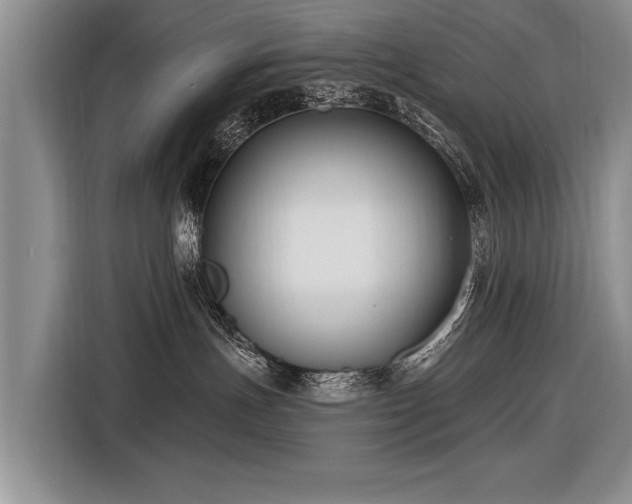 X0000116890191200912221501