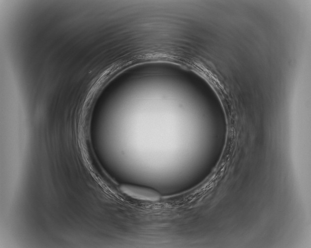 X0000116890193200912221500