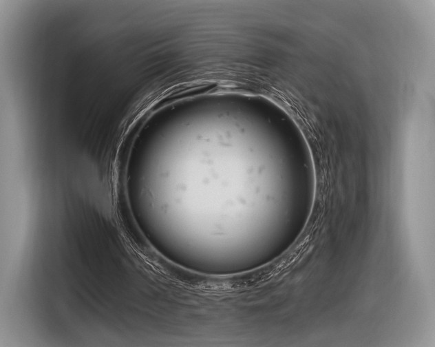 X0000116890194200912221500