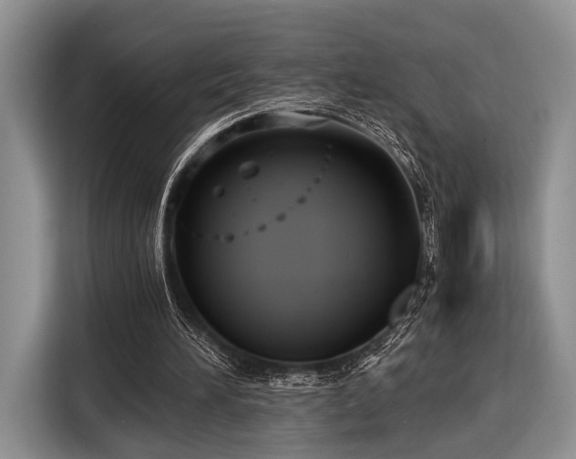 X0000116890196200912221500