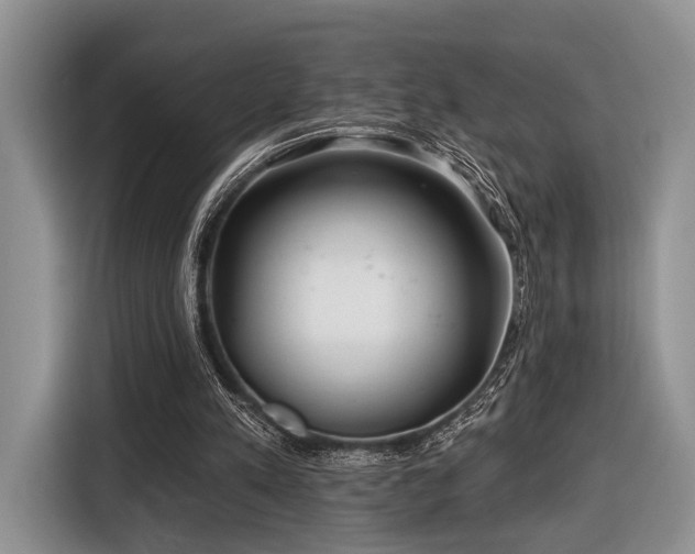 X0000116890197200912221500