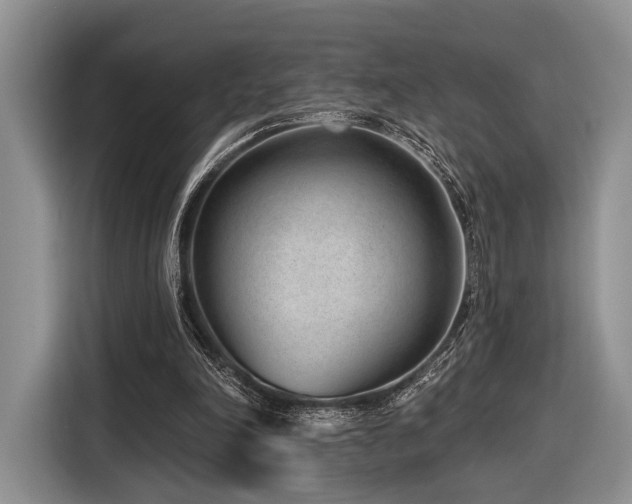 X0000116890198200912221500