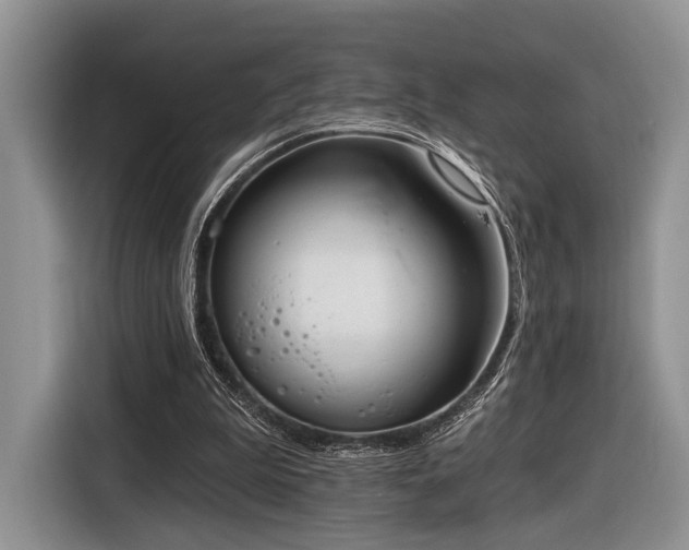 X0000116890199200912221500