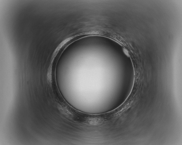 X0000116890200200912221500