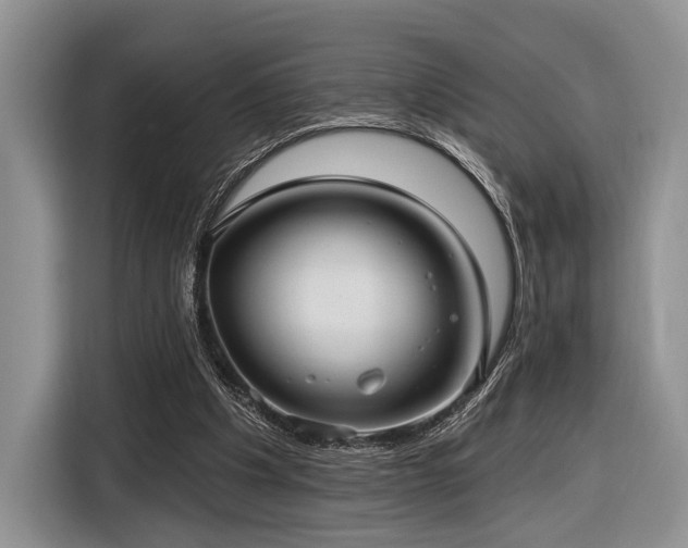 X0000116890201200912221500
