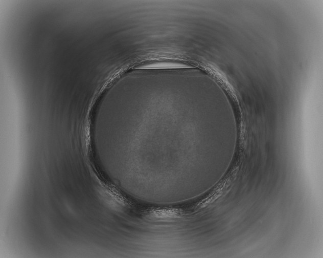 X0000116890202200912221500