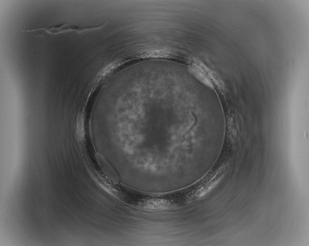 X0000116890203200912221500