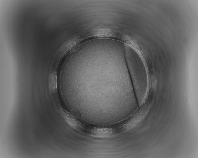 X0000116890205200912221500
