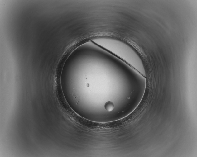 X0000116890207200912221500