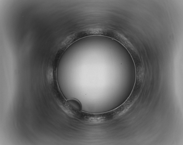 X0000116890213200912221500