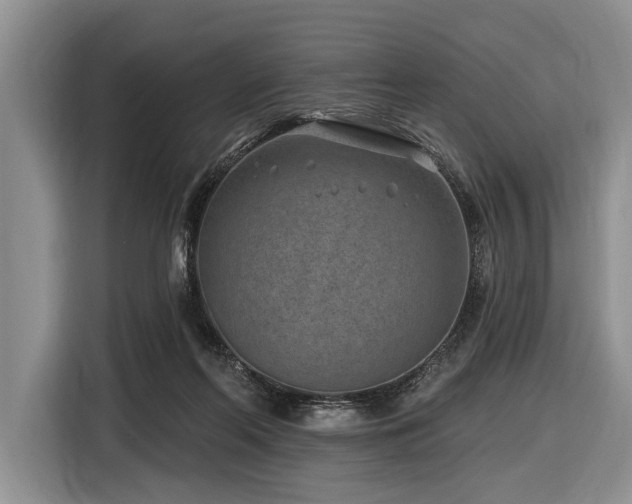 X0000116890214200912221500