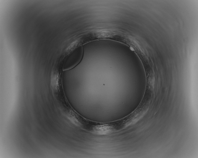 X0000116890219200912221500