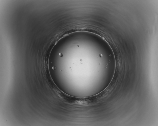 X0000116890220200912221500