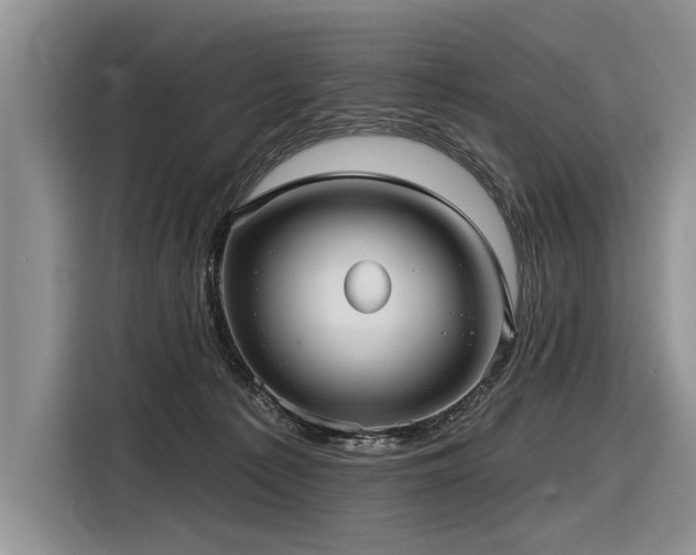 X0000116890225200912221500