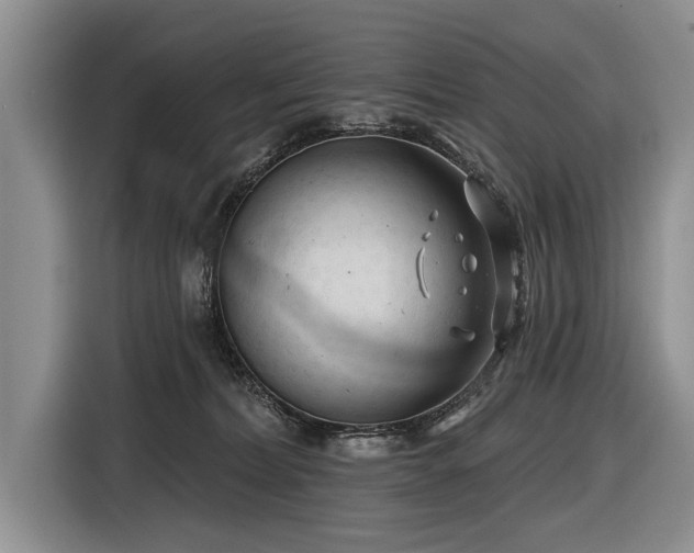 X0000116890228200912221500