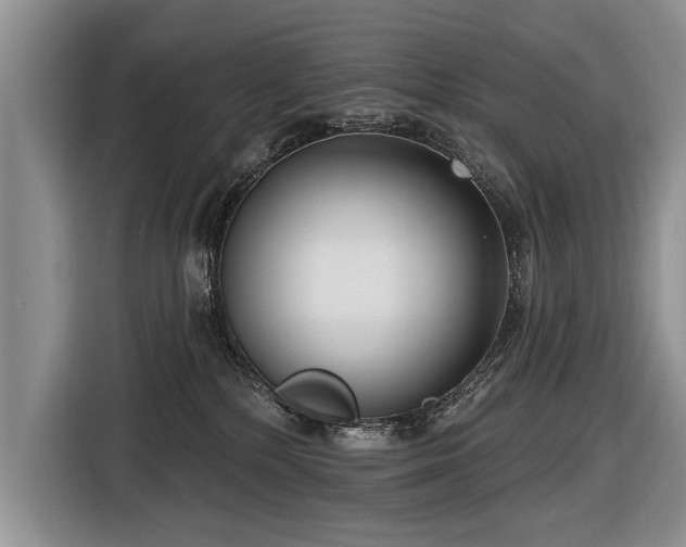 X0000116890232200912221459