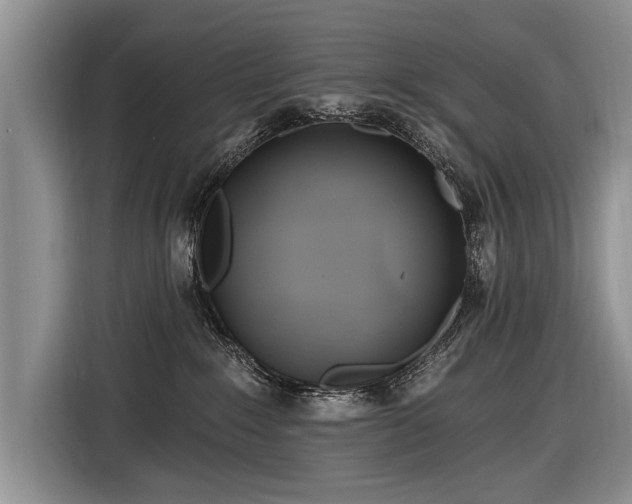 X0000116890235200912221459