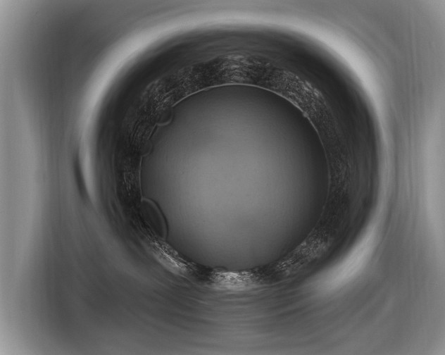 X0000116890239200912221459