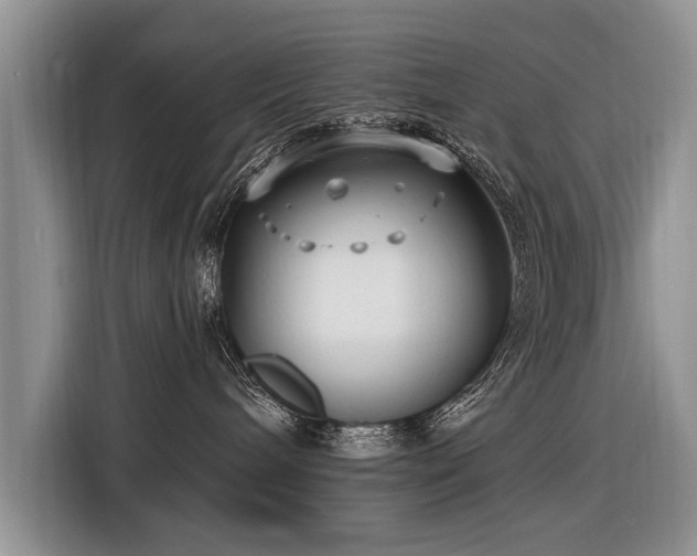 X0000116890240200912221459