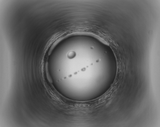 X0000116890242200912221459