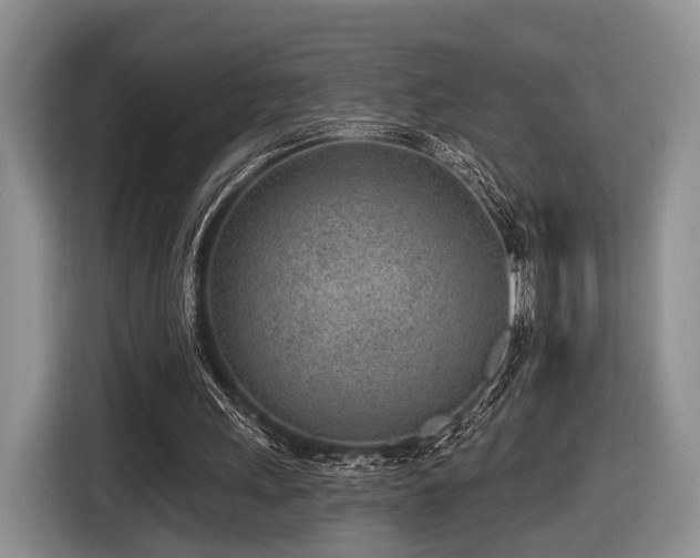 X0000116890243200912221459