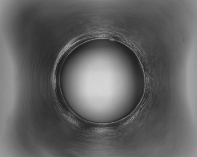 X0000116890246200912221459